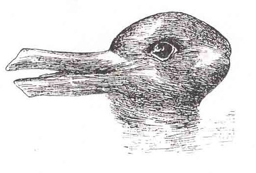 a duck-rabbit drawing