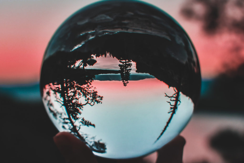 Image of a pine tree upside down through a crystal ball