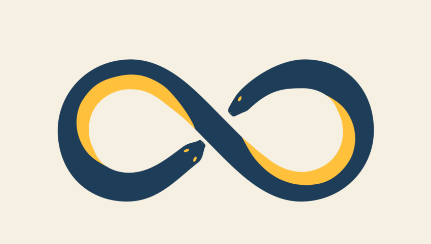 infinity sign made of a snake with two heads facing each other