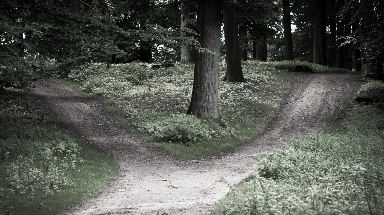 every once in a while in your life you reach a decision point. a crossroad leading left or right. you can not look far enough to make the perfect step, but you have to decide anyways. is it left or right? or even turning back?